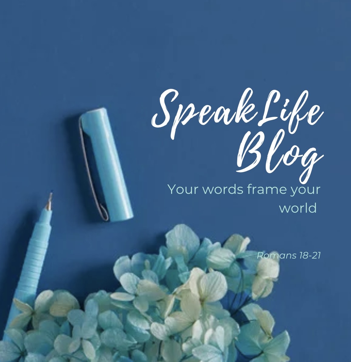 Speak Life Blog - Your words frame your world